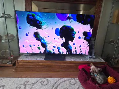 55 inch Samsung OLED tv with stand, HDMI and optic cables, View more