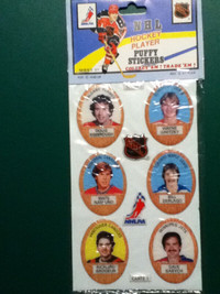 1983-84 Funmate Puffy Stickers Panel #1 (Wayne Gretzky) Hockey