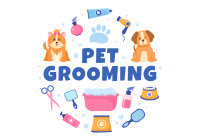 Seeking Dog Groomer for Business Partnership