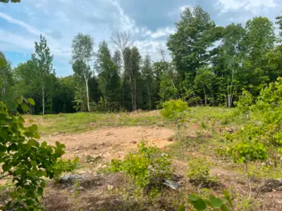 Partially cleared of trees, ready to be developed to suit your building needs. With driveway & dug w...