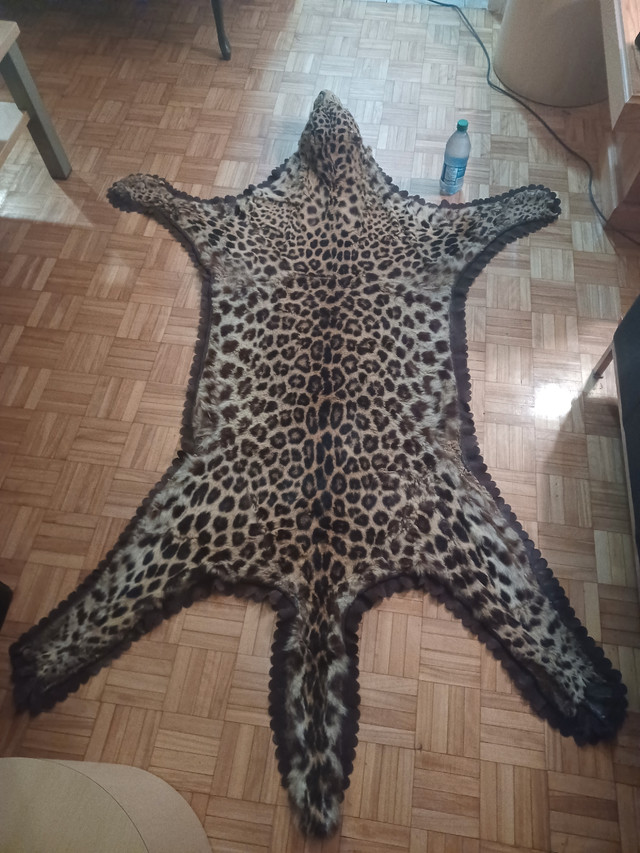 Leopard skin rug in Other in City of Toronto - Image 2