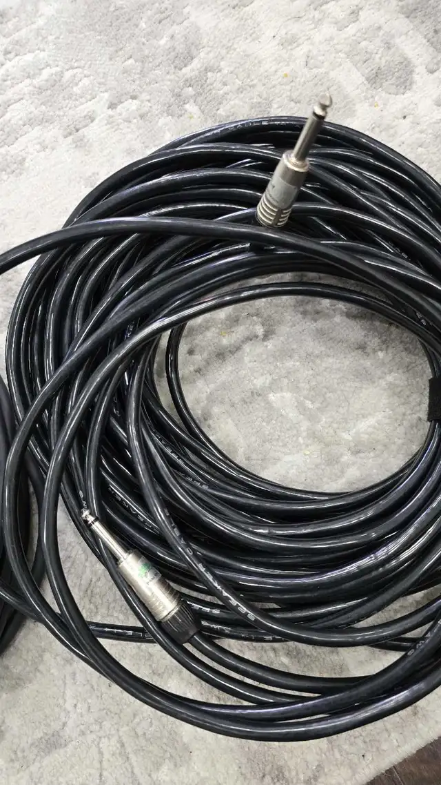 Professional speaker cables, 100 Ft each  in Performance & DJ Equipment in Oakville / Halton Region - Image 10