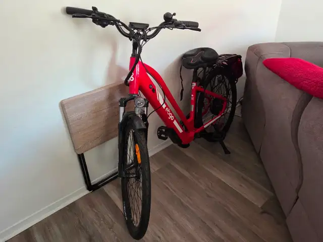 Electric Bicycle