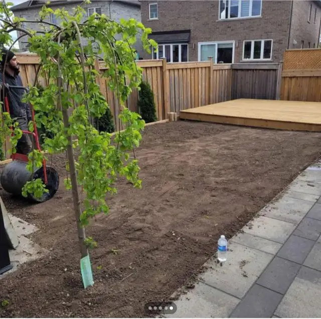 Peel summer cleanups/gardening/landscaping & more in Snow Removal & Property Maintenance in Mississauga / Peel Region - Image 6