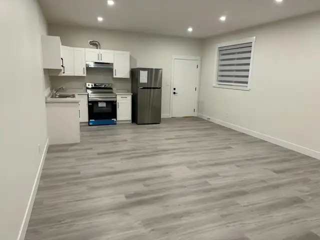 1 bedroom basement suite for rent in  Brock