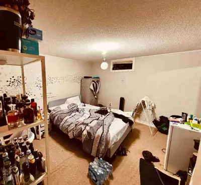 2 Bedroom basement apartment