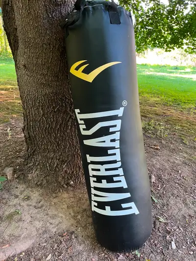Everlast Boxing Bag, View more