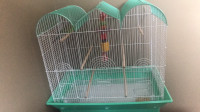 A Budgie with cage and toy rehoming
