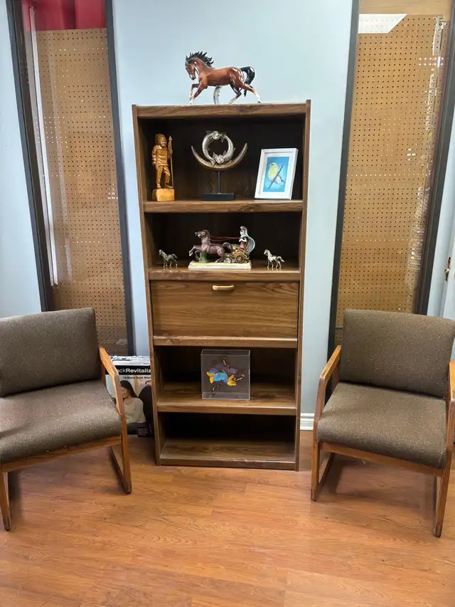 Bookcase and 2 chairs in Bookcases & Shelving Units in Mississauga / Peel Region - Image 2