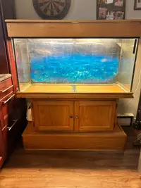 90 gallon tank, stand , canopy with built in light 