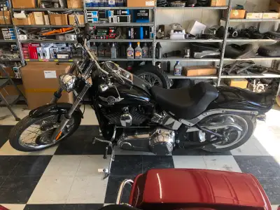 2008 FXSTC with a new 107cu. Engine is new with a new ThunderMax ECM. All internals have been upgrad...