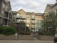Whyte Avenue 2 BedRm Condo For Rent