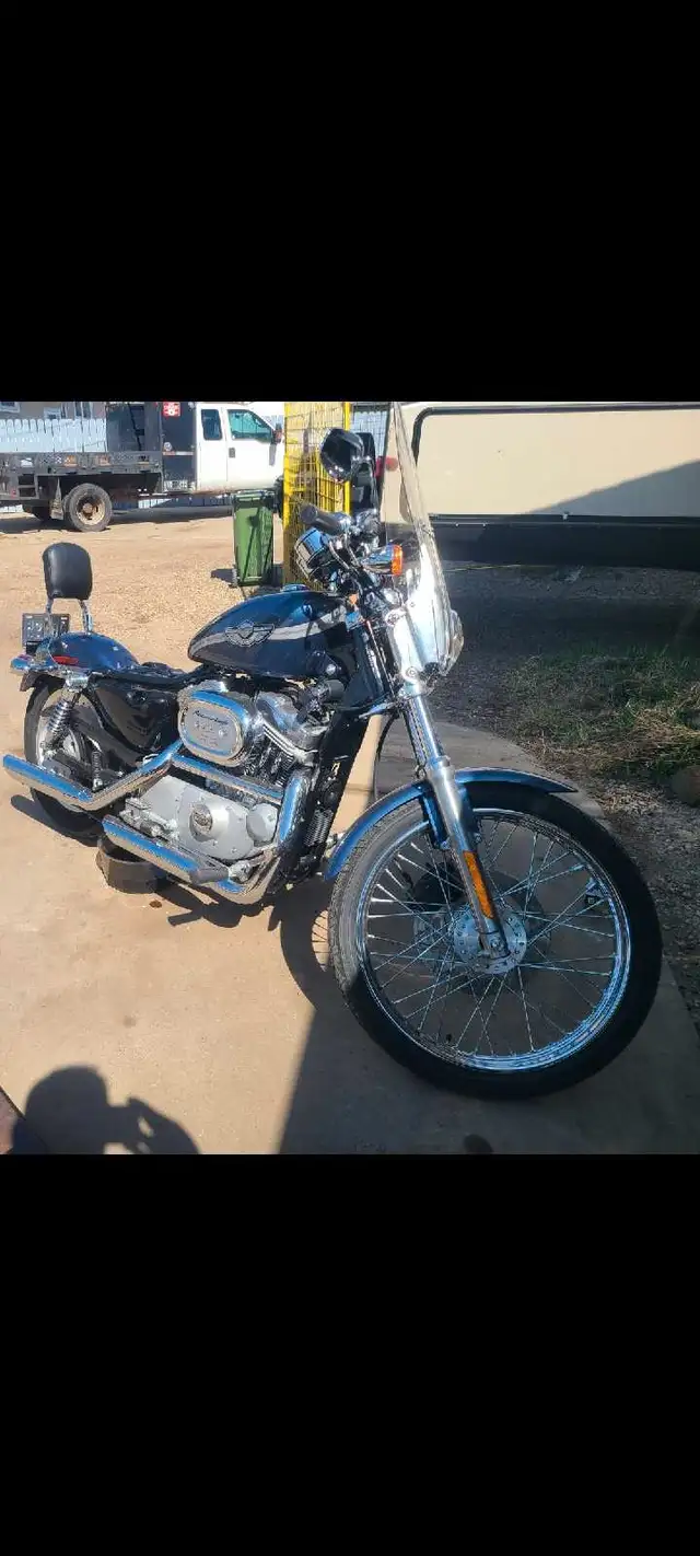 Harley Sportster 2003 883 XLC in Street, Cruisers & Choppers in Edmonton - Image 2