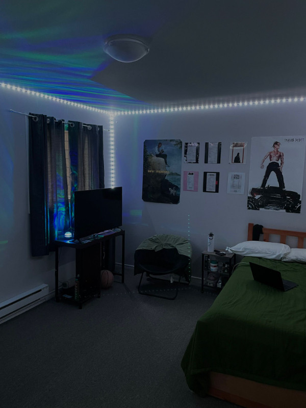 Room for Sublet near Trent University in Room Rentals & Roommates in Peterborough