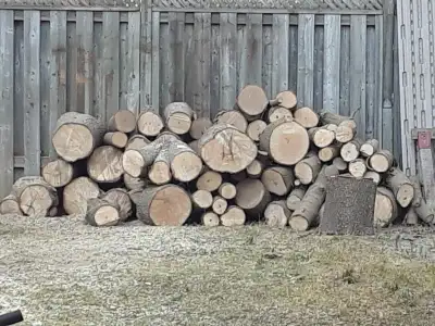 Free Maple Wood, View more