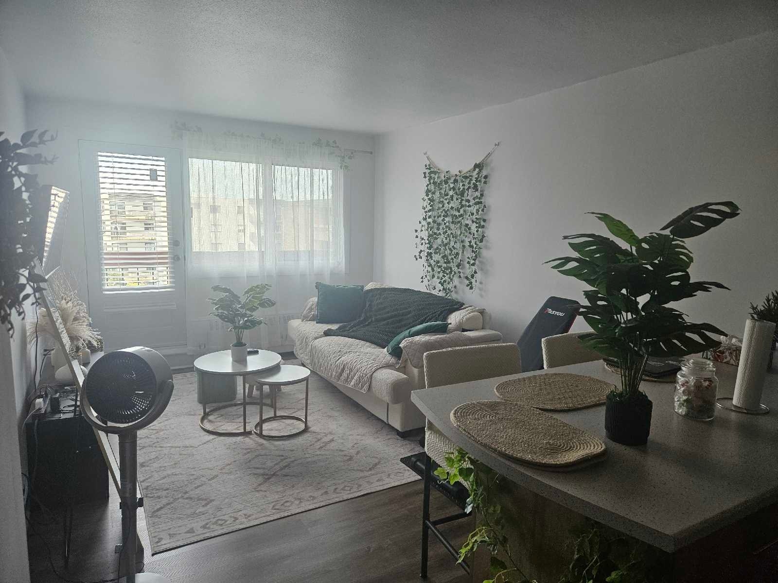 7235 Rue Pierre-Corneille — photo 2