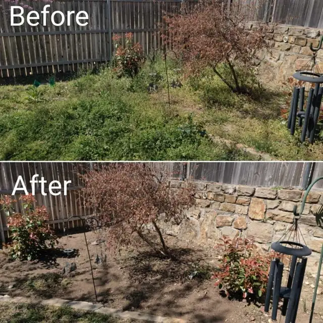 garden cleaning service 525760668076625921
