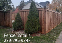 Pressure Treated and Cedar Wood Fence