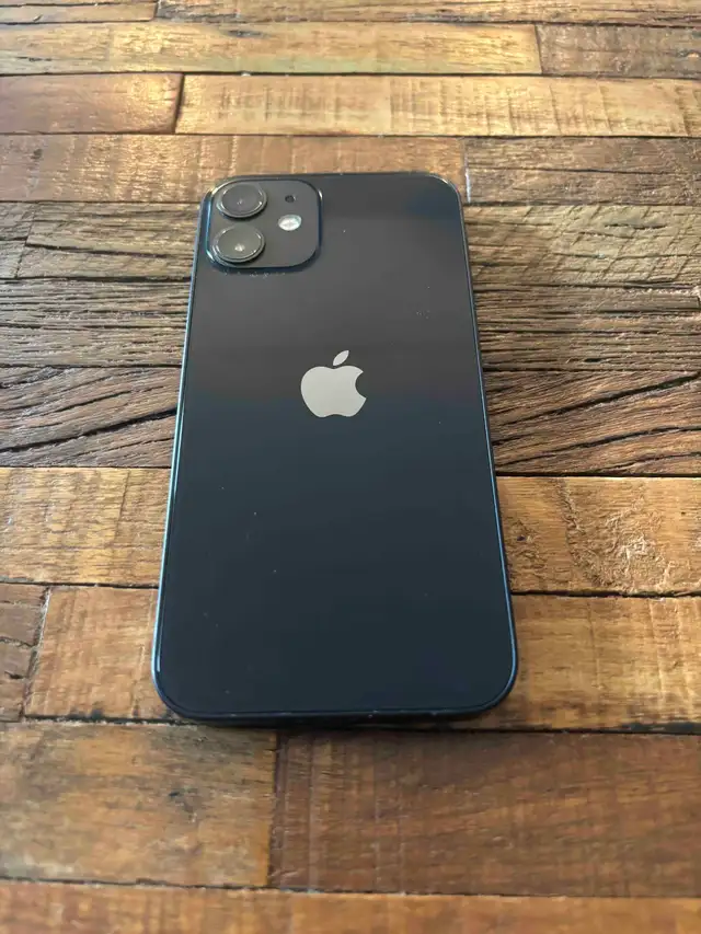 iPhone 12 Mini517611131576657922