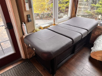  Medical Aesthetician Bed