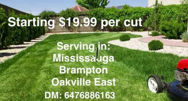 Starting $19 Grass Cutting 647 688 6163