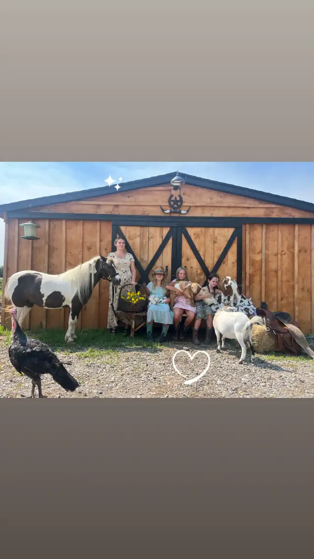 Travelling Petting zoo & pony rides