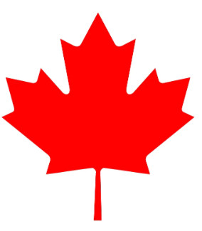 Canada Day temporary tattoos July 1st 2023 Fake tattoo Leaf in Arts & Collectibles in Sarnia - Image 2