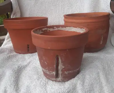 3 pots pour ochidées en bon condition.