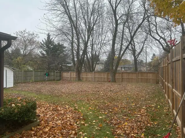 FALL CLEANUP SERVICES 595974609175193603