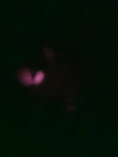 1 bedroom apartment in glacé bay heat and lights included $1000.00 2 bedroom apartment in glacé bay...