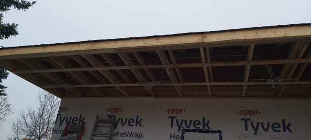 Soffit, fascia, gutter, downpipes, shingles.  in Roofing in Edmonton