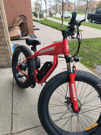 Dook ebike fat tire for sale