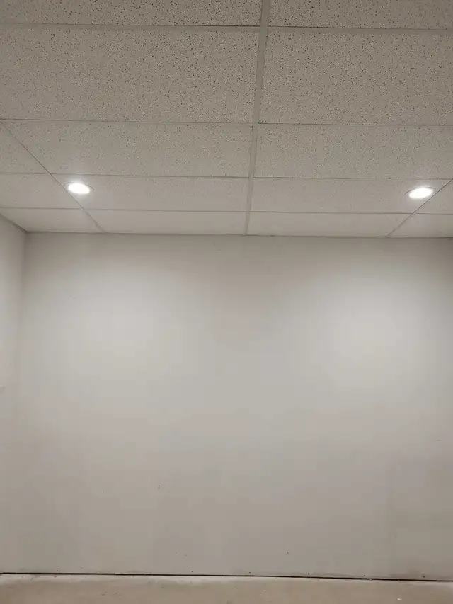 drop ceiling 65745638910466121