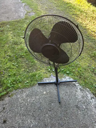 Black 16-Inch Oscillating Pedestal Fan, View more