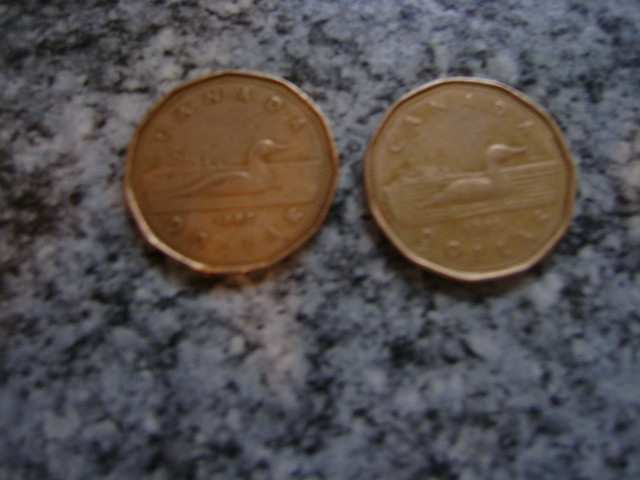 TWO OLDER CANADIAN LOONIES  1990 & 1995 in Arts & Collectibles in Windsor Region - Image 3
