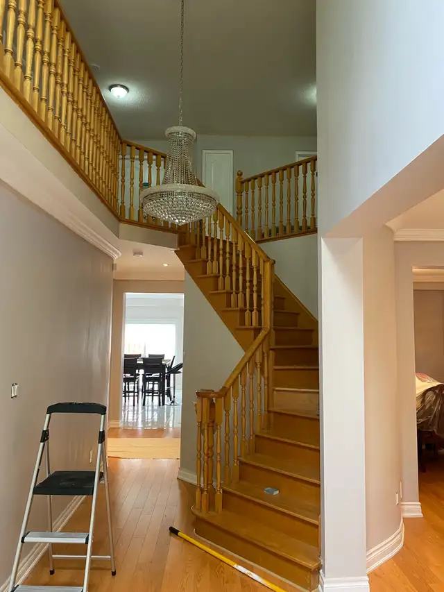 professional painter64728170439299120