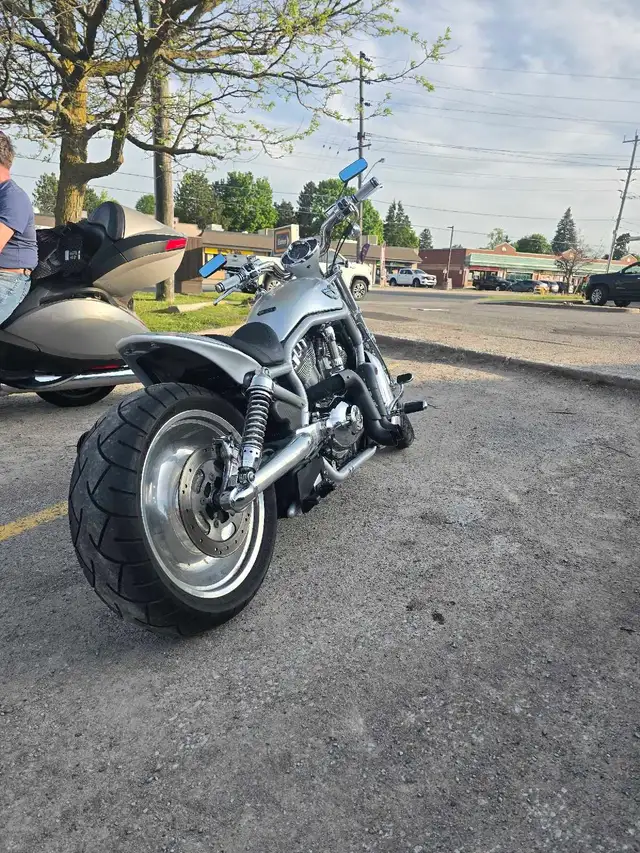  2003 Harley‑Davidson V‑Rod — 100th Anniversary Edition  in Sport Touring in Oshawa / Durham Region - Image 4
