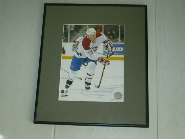 Photo Officielle NHL /NHLPA 8" X 10" - Michael Ryder dans Art et objets de collection  à Laval/Rive Nord