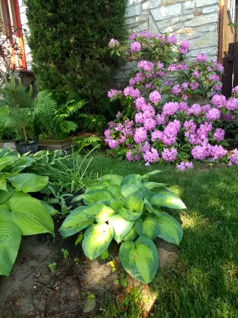 assistant jardinier -  ayudante-jardinero in Part Time & Students in Longueuil / South Shore - Image 2