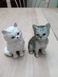 2 petits chats