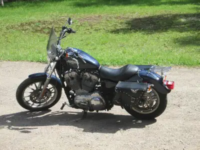 Harley Davidson 883 super low Sportster 14733 miles (23710 km) Brand new front tire Upgraded seat Mi...