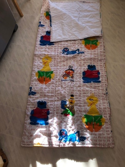 Sesame Street Sleeping Bag in Toys & Games in Calgary