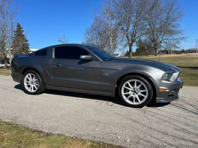 2013 Mustang GT premium. Fully loaded car. Full size Nav screen, back up camera, ambient lighting, e...