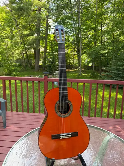 Raimundo Classical/Flamenco Guitar, View more