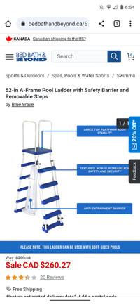Above ground swimming pool ladder
