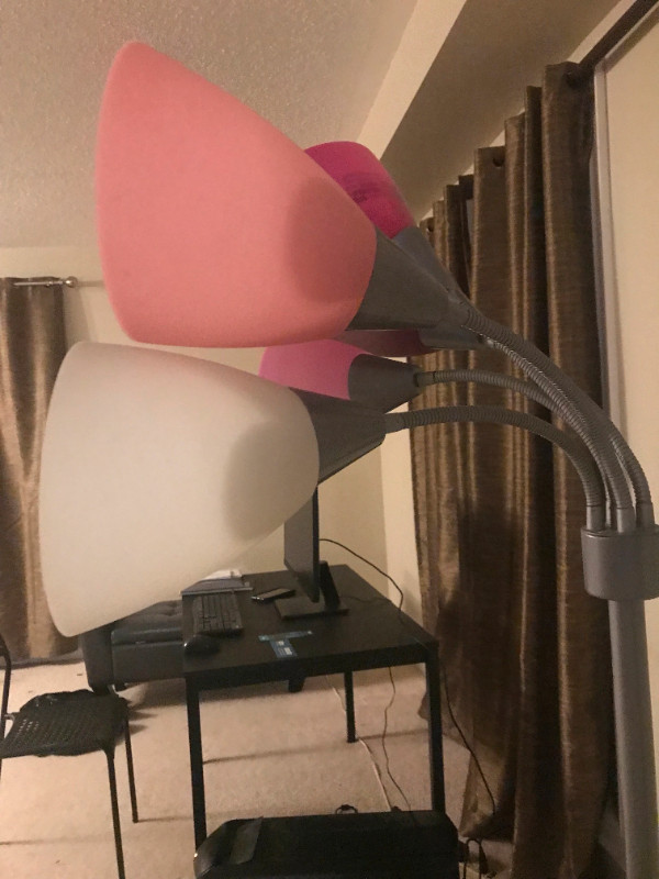 Standing Lamp in Indoor Lighting & Fans in Mississauga / Peel Region - Image 2