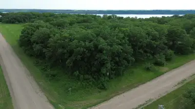 Lot for sale at Pelican Lake. Build your dream home or cabin on this beautiful site. With lots of ma...