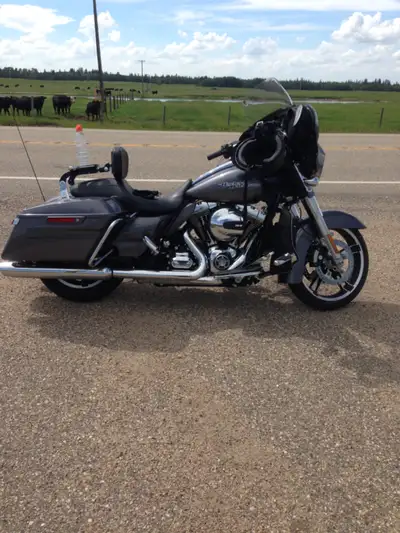 Harley FL Accessories: Rear crash bars and crash bar bags $100 Rear telescoping backrest and built i...