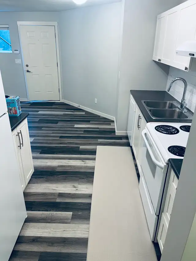 CLEAN, BRIGHT AND MODERN - NEWLY UPDATED 2 BED/1 BATH in Long Term Rentals in Delta/Surrey/Langley - Image 5