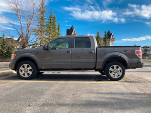 2009 Ford F 150 FX4